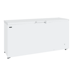 TEFCOLD GM600 Glass Door Display Freezer - 600L, Energy Efficient, White